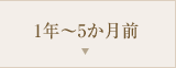 1年～5か月前